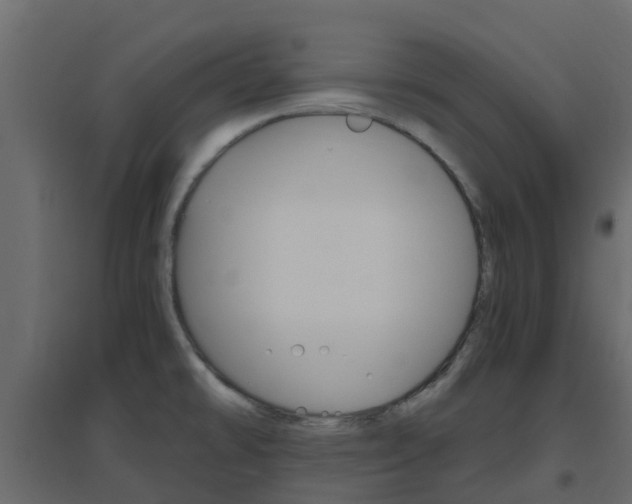 X0000096641478200802050946