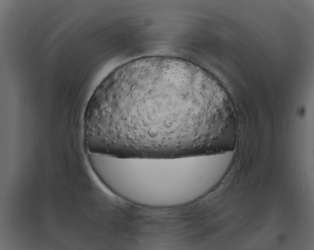 X0000096641479200802050946