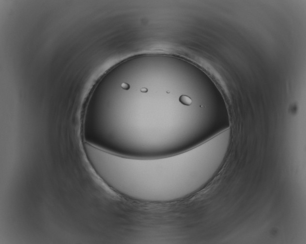 X0000096641480200802050946