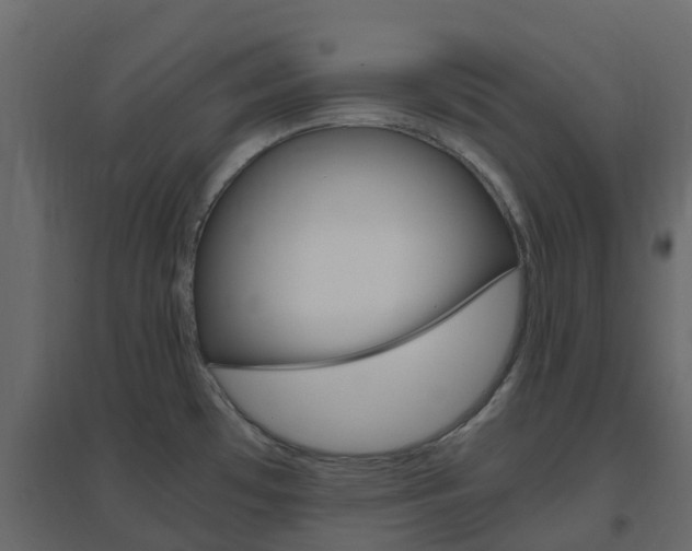 X0000096641481200802050946
