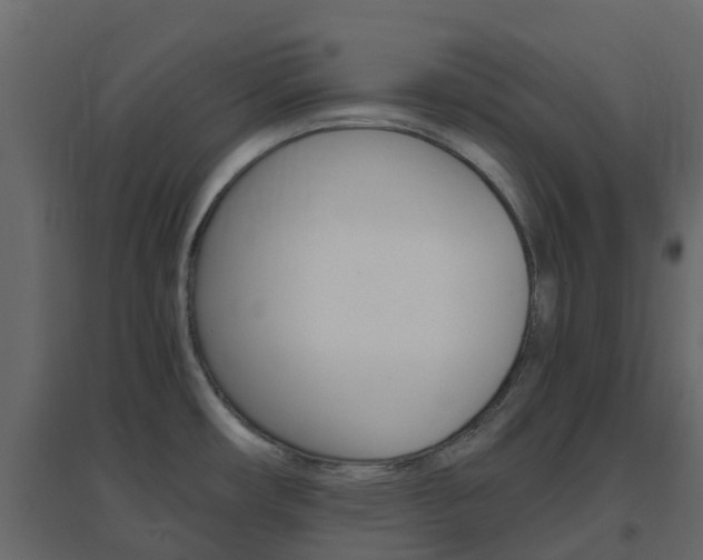 X0000096641482200802050946