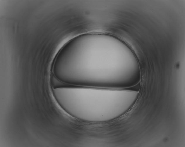 X0000096641483200802050946