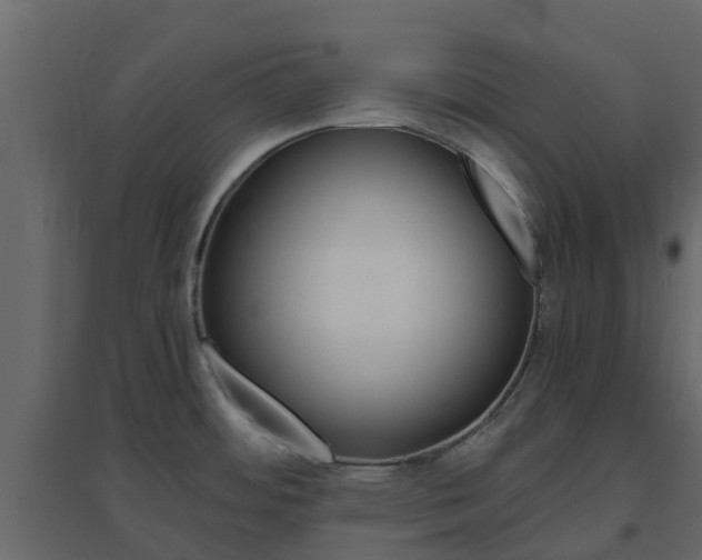 X0000096641484200802050946