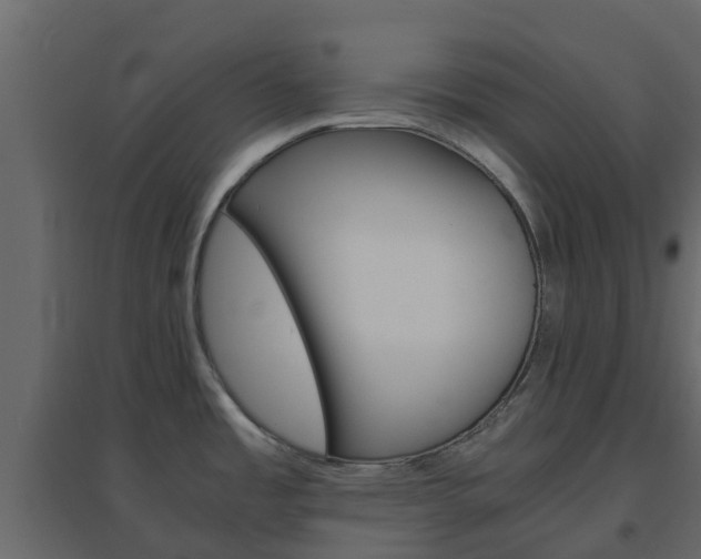 X0000096641485200802050946