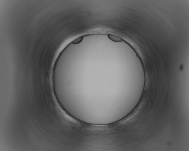 X0000096641486200802050946