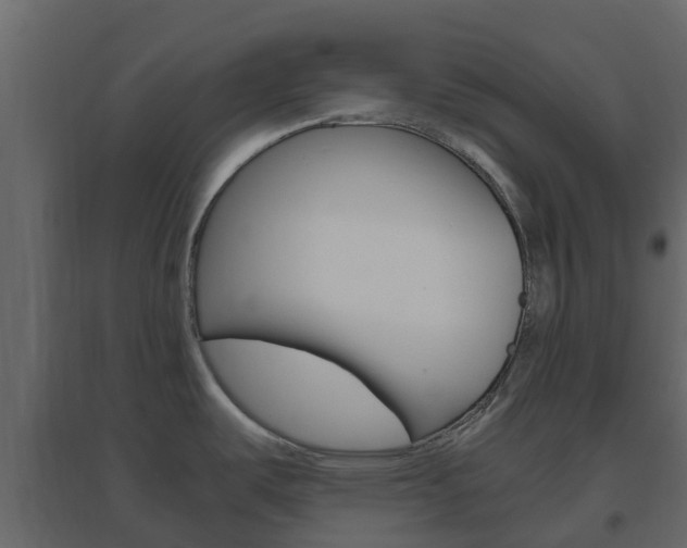 X0000096641487200802050946