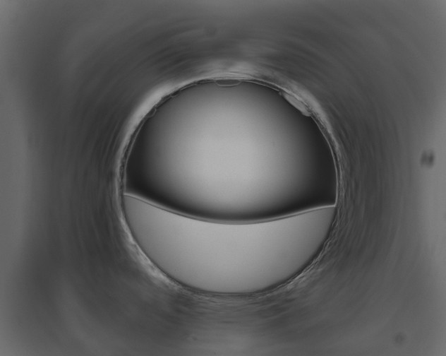 X0000096641488200802050946