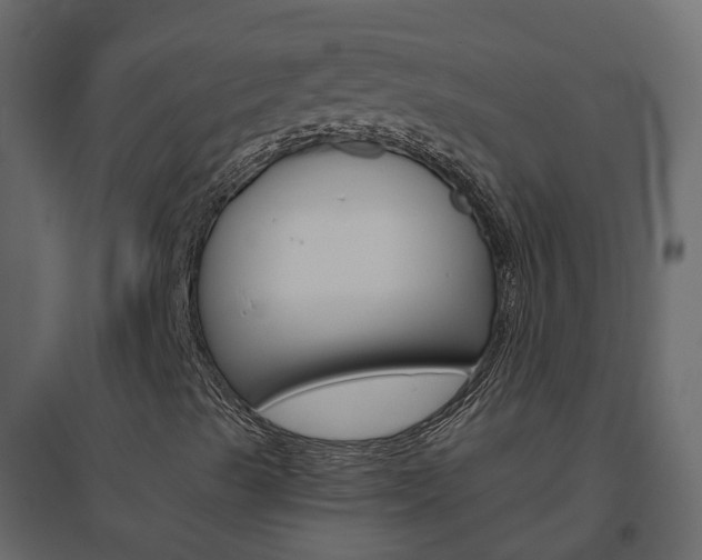 X0000096641489200802050945