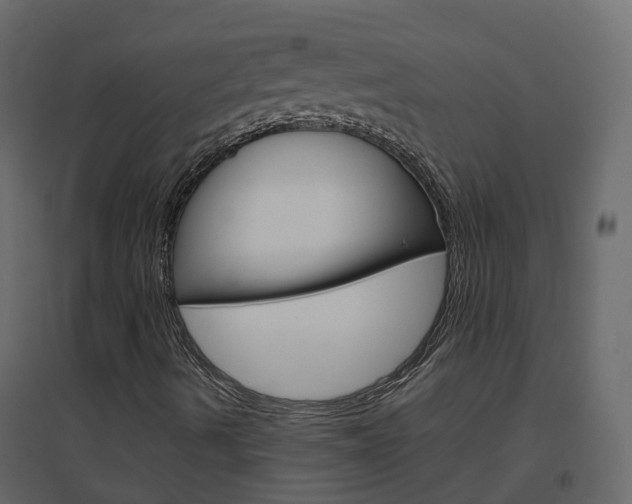 X0000096641490200802050945