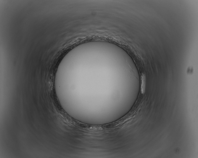 X0000096641491200802050945