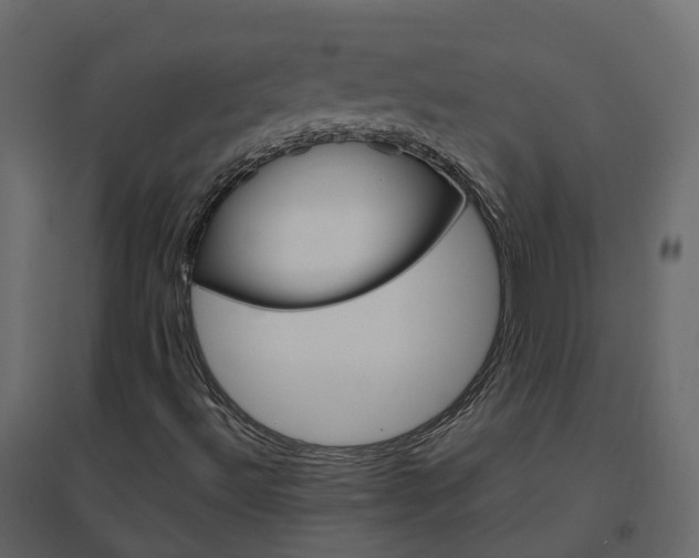 X0000096641492200802050945