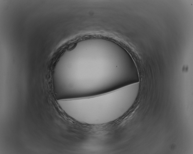 X0000096641494200802050945