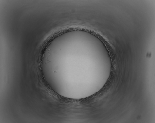 X0000096641495200802050945