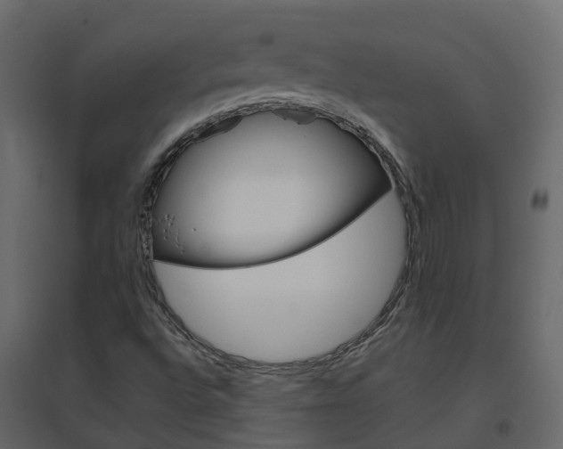 X0000096641496200802050945