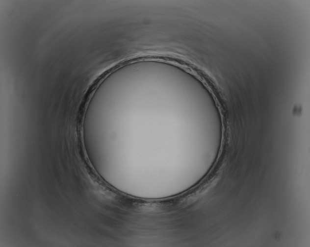 X0000096641497200802050945