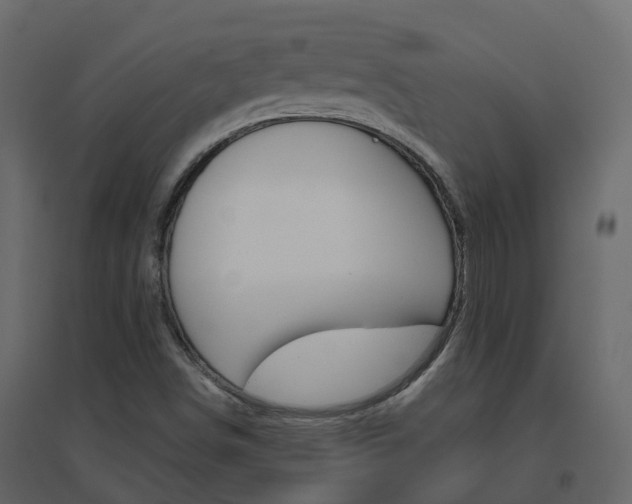 X0000096641498200802050945