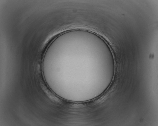 X0000096641499200802050945