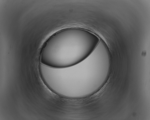 X0000096641500200802050945