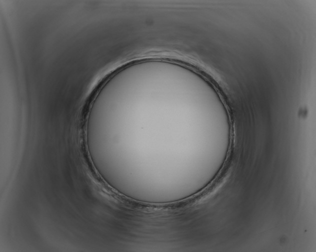X0000096641501200802050945