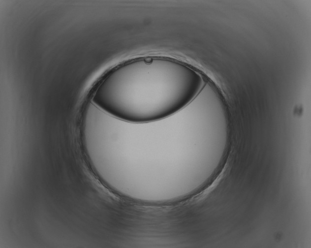 X0000096641502200802050945
