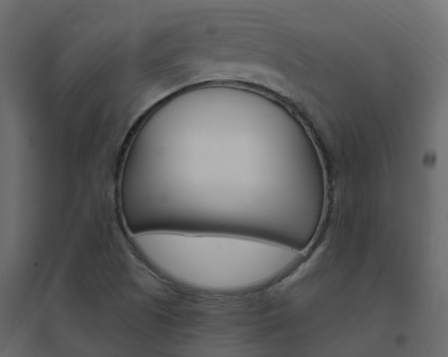 X0000096641505200802050945