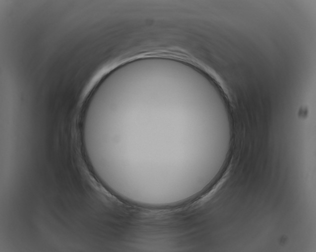 X0000096641506200802050945