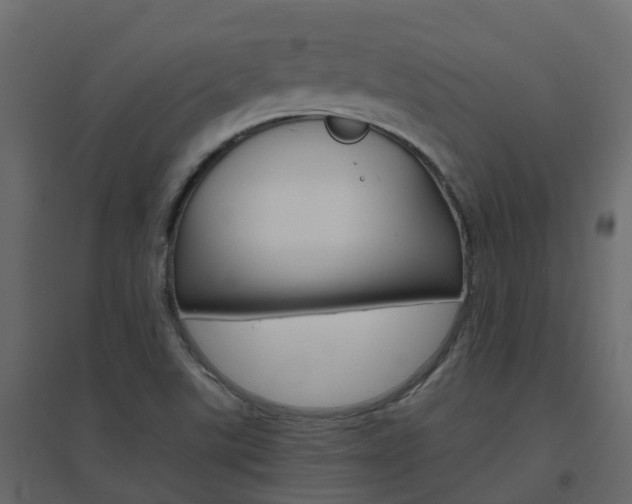 X0000096641507200802050945