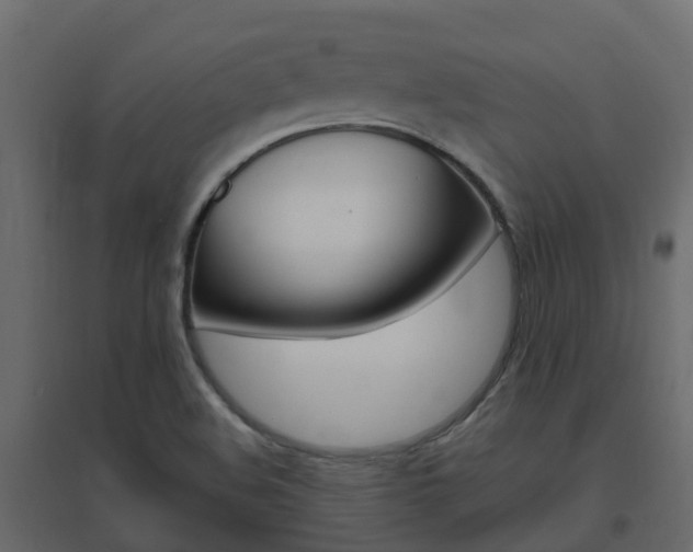 X0000096641508200802050945