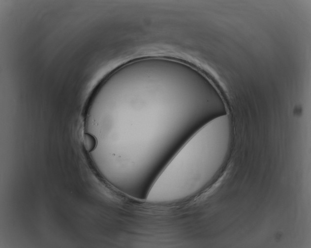 X0000096641509200802050945