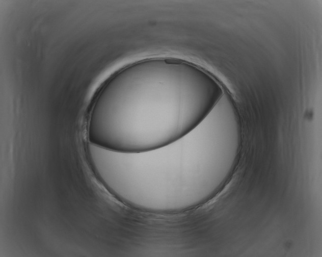 X0000096641510200802050945