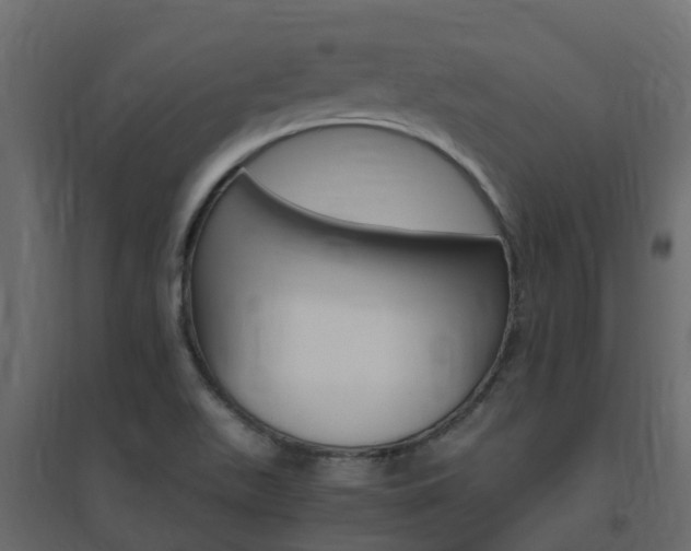 X0000096641511200802050945
