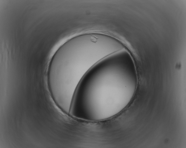 X0000096641512200802050945