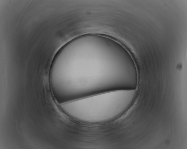 X0000096641513200802050945