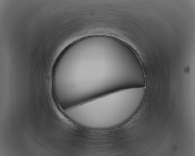 X0000096641515200802050945