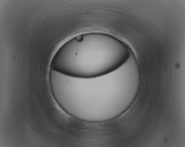 X0000096641516200802050945