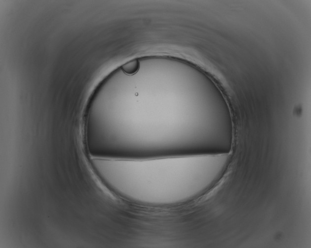 X0000096641517200802050945