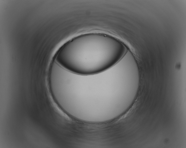 X0000096641518200802050945