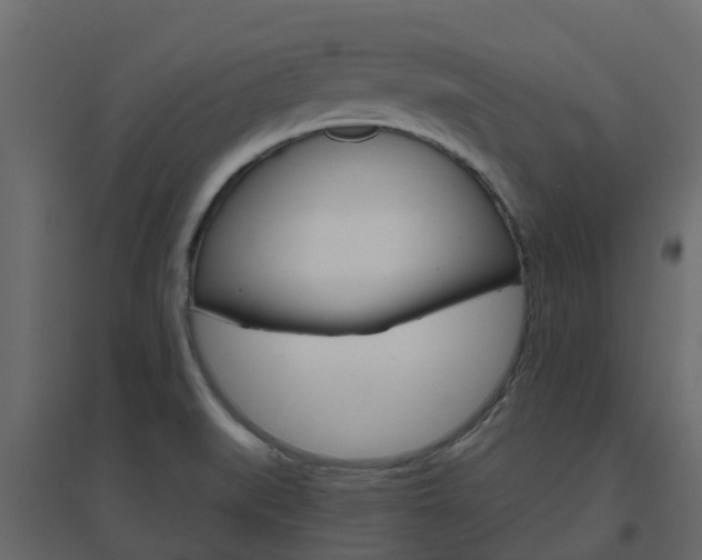 X0000096641519200802050945