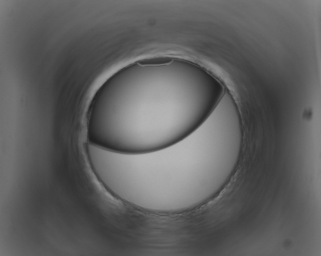 X0000096641520200802050945