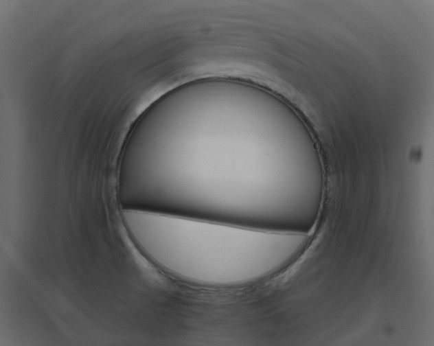 X0000096641521200802050945