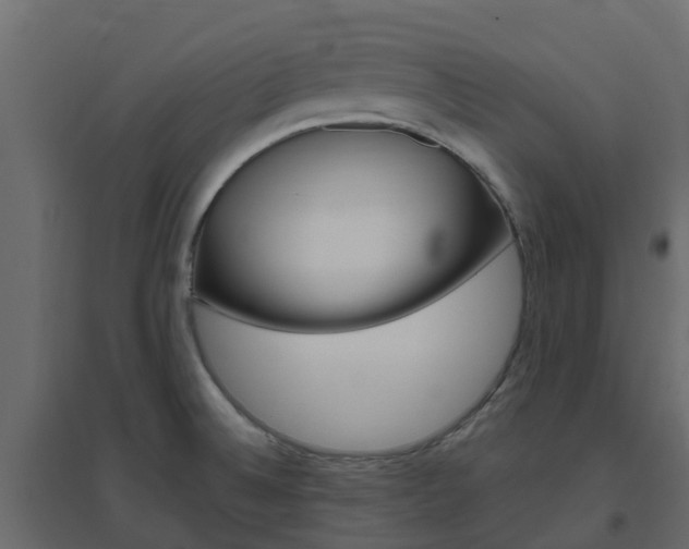 X0000096641524200802050945