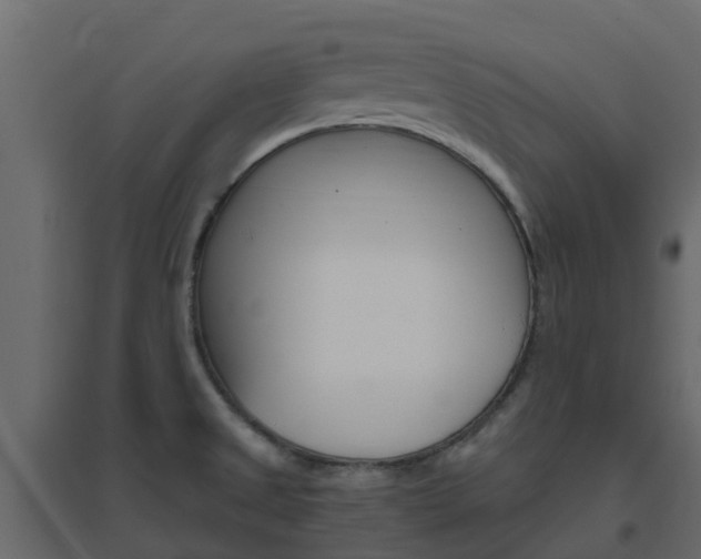 X0000096641525200802050945