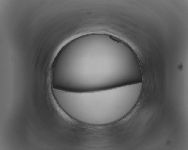 X0000096641526200802050945