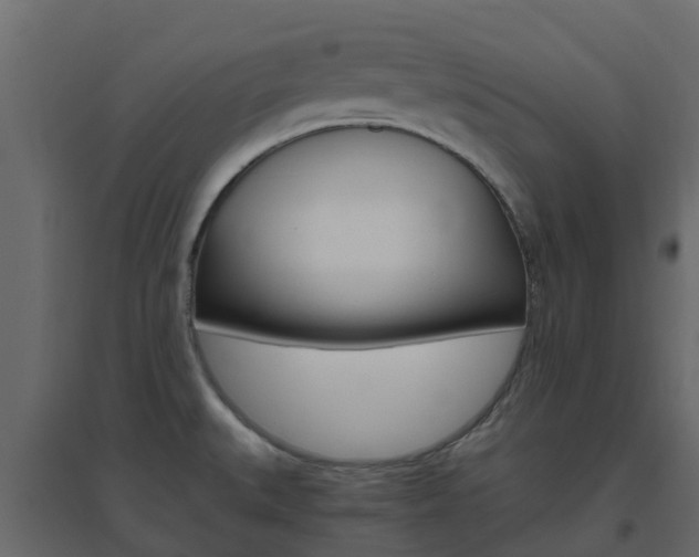 X0000096641527200802050945
