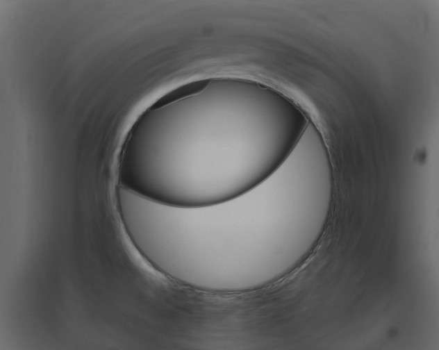 X0000096641528200802050945