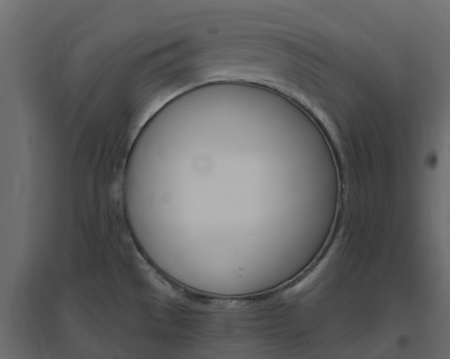 X0000096641529200802050945