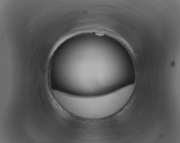 X0000096641530200802050945