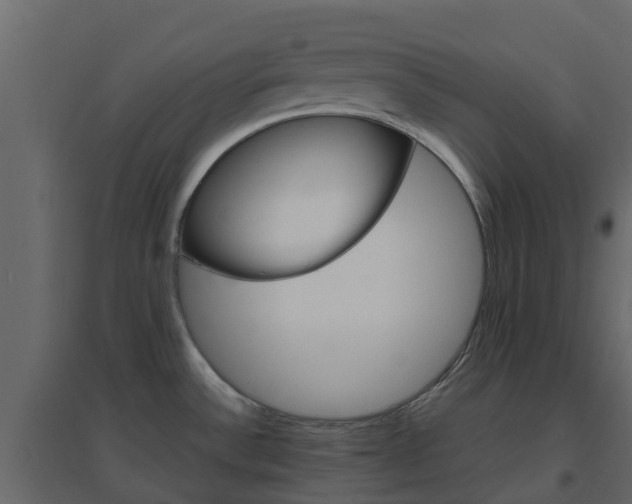 X0000096641532200802050945