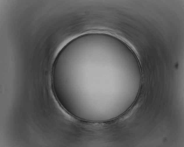 X0000096641533200802050946