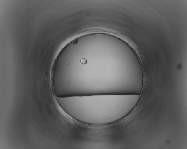 X0000096641535200802050946
